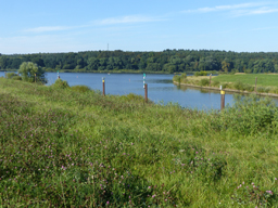 Mündung des Elbe-Seiten-Kanals bei Artlenburg